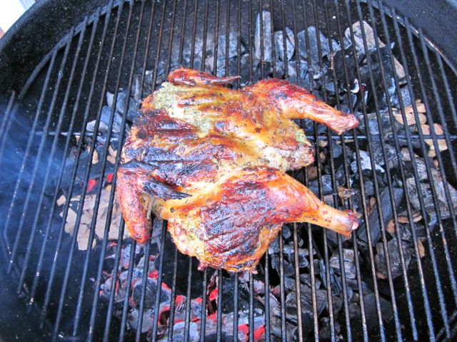 grill-spatchcocked-chicken.jpg